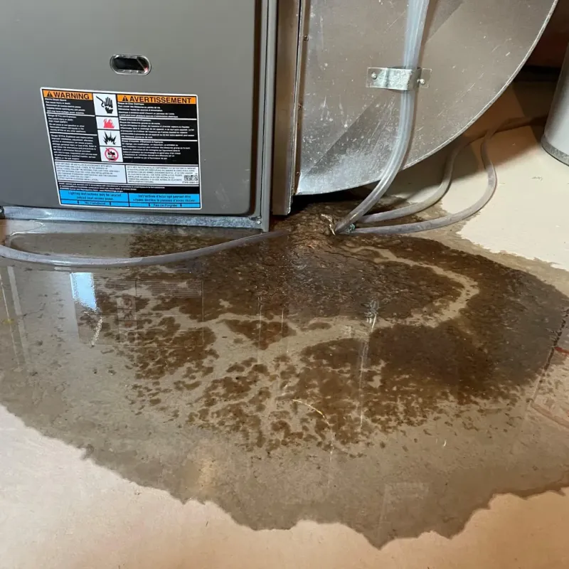 Appliance Leak Cleanup in Mooresville, IN